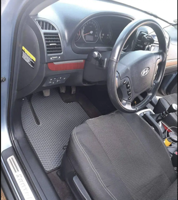 Купить автомобильные коврики eva для Hyundai Santa FE (2001 - 2006)  в салон в Украине